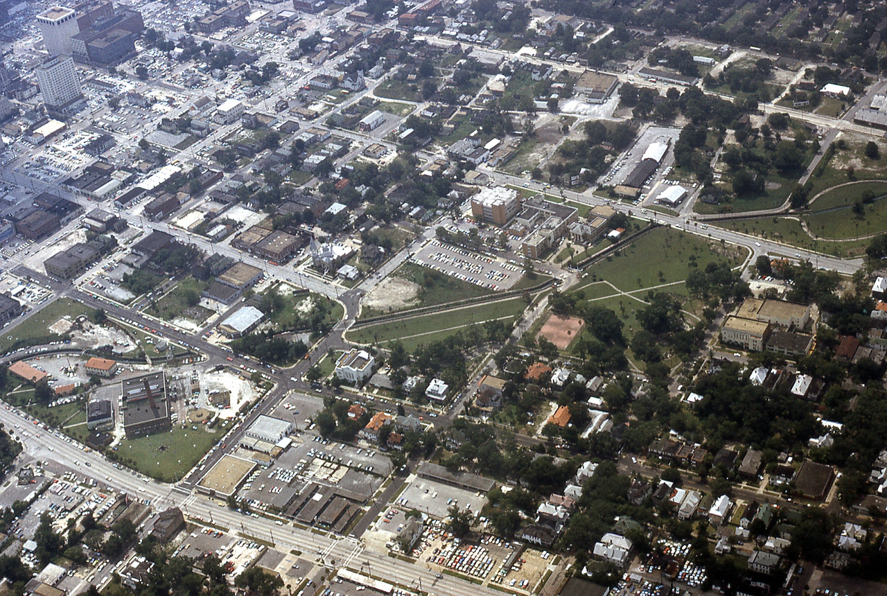 THE JAXSON | The oak tree that remembers Black Bottom — Jacksonville Today, Bowman Schools news